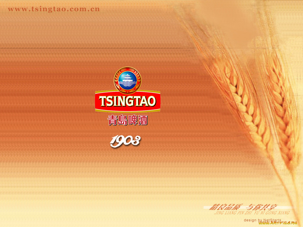 tsingtao, 